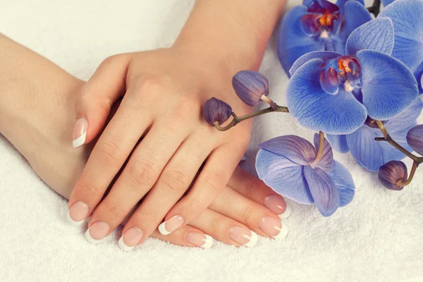 Manos femeninas con manicura francesa — Foto de Stock