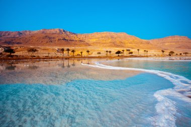 Dead Sea seashore  clipart