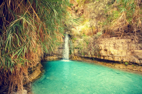 A cachoeira de David em Ein Gedi — Fotografia de Stock