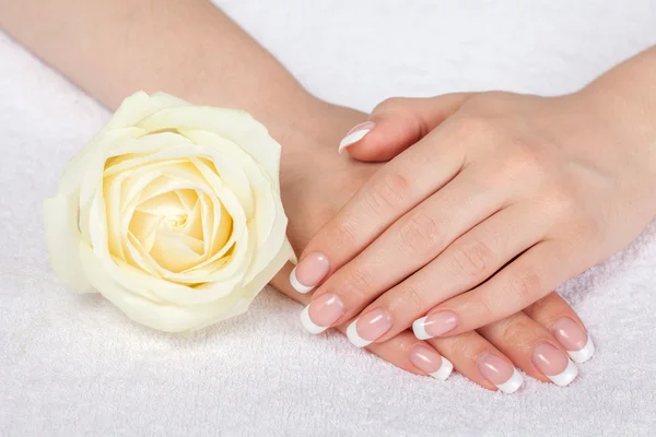 Manos femeninas con manicura francesa — Foto de Stock