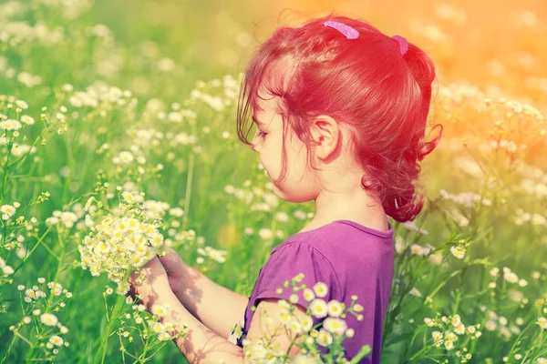 Klein meisje plukken bloemen in de Wei — Stockfoto