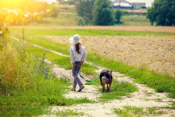 Kleines Mädchen geht mit Hund spazieren — Stockfoto