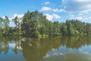 Yağmur ormanı, yazın güzel bir nehir. Ağaçlı Lakeshore.