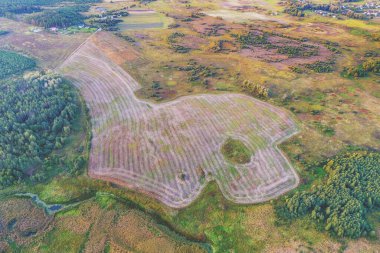 Kırsal alan. Hava görüntüsü. Yazın kırsal manzarası