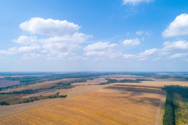 Güzel bir gökyüzü olan kırsal alan. Hava görüntüsü. Yazın ekili ve yeşil tarlaların ve köyün manzarası