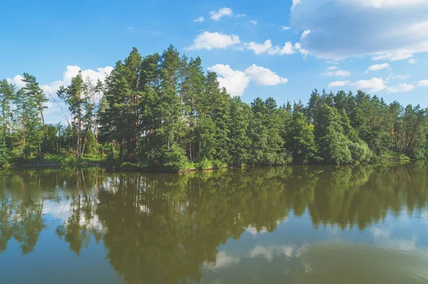 Дощовий Ліс Прекрасна Річка Влітку Лакешор Деревами — стокове фото