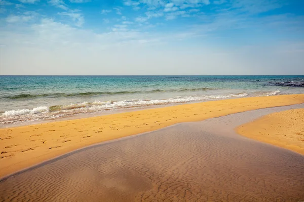 Rivierdelta Aan Kust Natuurlandschap Zeegezicht Zomer Een Zonnige Dag — Stockfoto