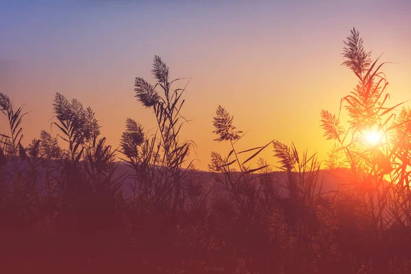 Saum See Magische Gelassenheit Sonnenuntergang Über Dem See Ländliche Landschaft — Stockfoto