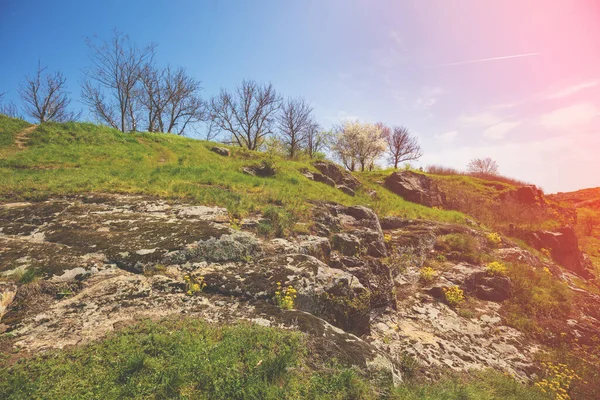 Rocky Mountainside Early Spring — Stock Photo, Image