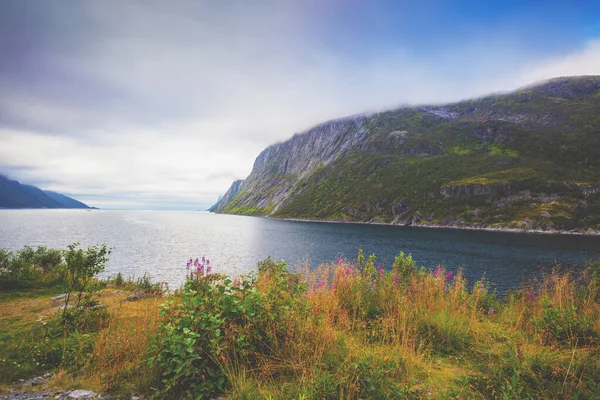 Uitzicht Fjord Rotsachtige Kust Met Bewolkte Lucht Prachtige Natuur Van — Stockfoto