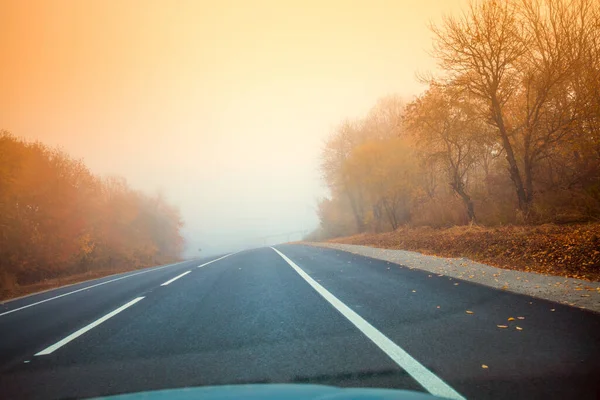 Autópálya Ősszel Ködös Reggel Természet Táj — Stock Fotó