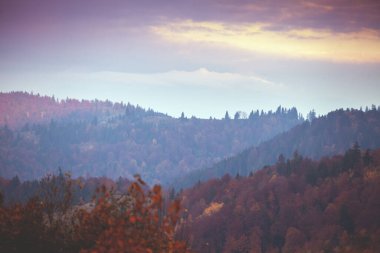 Sabahın erken saatlerinde dağların silueti. Baharın başındaki dağların manzarası. Güzel doğa manzarası. Karpat Dağları. Ukrayna