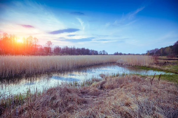Magische Zonsondergang Het Platteland Landelijk Landschap Het Voorjaar Smalle Rivier — Stockfoto