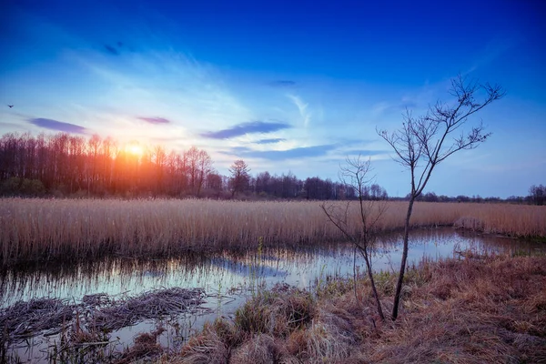 Magische Zonsondergang Het Platteland Landelijk Landschap Het Voorjaar Smalle Rivier — Stockfoto