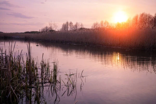 Magische Zonsondergang Het Platteland Landelijk Landschap Het Voorjaar Wildernis Smalle — Stockfoto