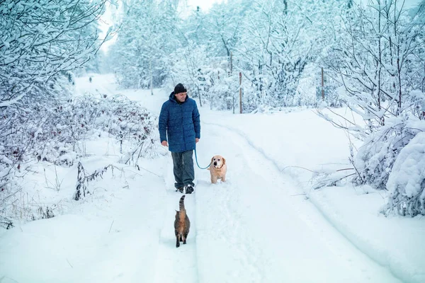 Человек Собакой Поводке Гуляет Дороге Зимнем Лесу — стоковое фото