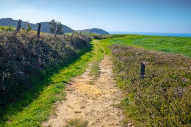 Güneşli bir baharda, dağdaki toprak yol. Kırsal alan.