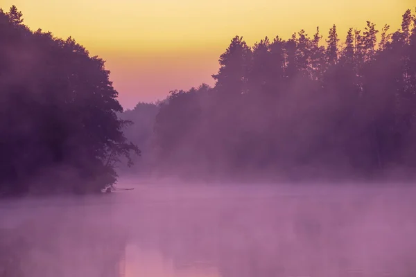 Magische Zonsopgang Boven Het Meer Serene Meer Vroege Mistige Ochtend — Stockfoto