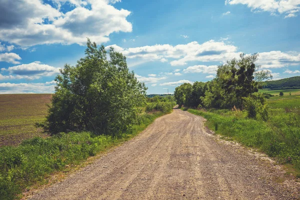 Pohled Krásnou Venkovskou Krajinu Slunečného Dne Country Dirt Road Fields — Stock fotografie