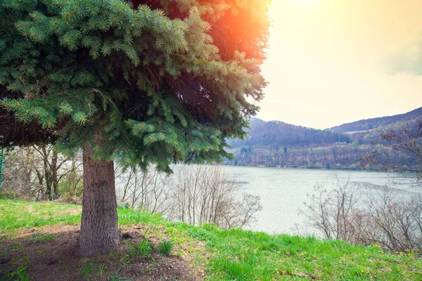 Beau Paysage Lac Montagne Printemps Par Une Journée Ensoleillée Montagnes — Photo