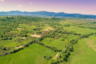 Dağ vadisinin panoramik manzarası. Baharda güneşli bir günde yeşil tarlalar ve ağaçlar. Yukarıdan bak. Zakarpattia Oblastı, Ukrayna, Avrupa