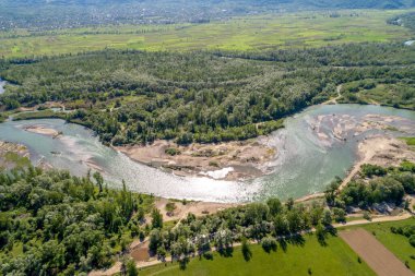 Güneşli bir günde ormanın, nehrin ve tarlanın yukarıdan görünüşü. Doğa manzarası. Tisza Nehri, Zakarpattia Oblastı, Ukrayna, Avrupa
