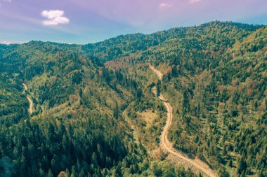 Tepesine toprak bir yol olan dağların panoramik hava manzarası. Güzel dağ ilkbahar manzarası. Karpat Dağları. Ukrayna