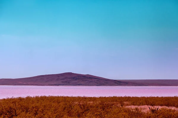 Рожеве Озеро Степу Природа Пустеля — стокове фото