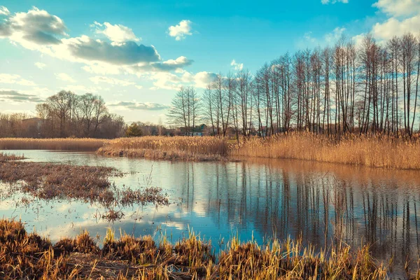 Landelijk Landschap Rivier Het Vroege Voorjaar Prachtige Natuur — Stockfoto