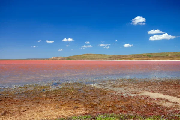 Pink Lake Steppe Nature Landscape Wilderness Stock Photo