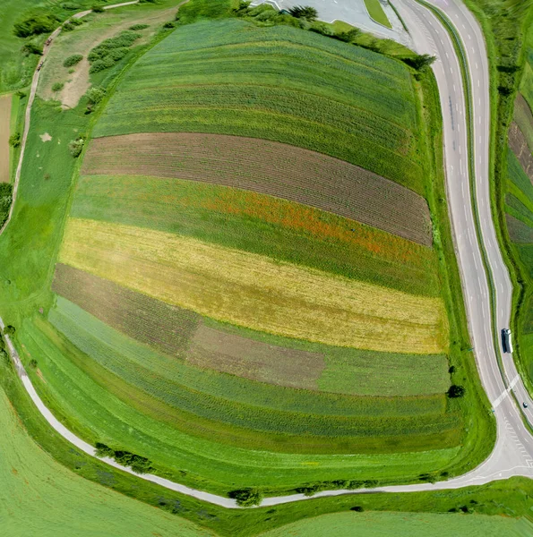 Abstract Landbouwlandschap Bovenaanzicht Bolvormig Panorama Akkers Kleurrijke Velden Met Jonge — Stockfoto