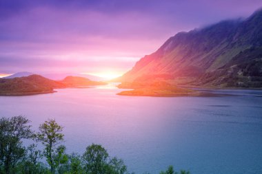 Gün batımında fiyort. Akşamları kayalık deniz kıyısında. Norveç 'in güzel doğası. Resimli İskandinav manzarası. Lofoten Adaları, Norveç, Avrupa