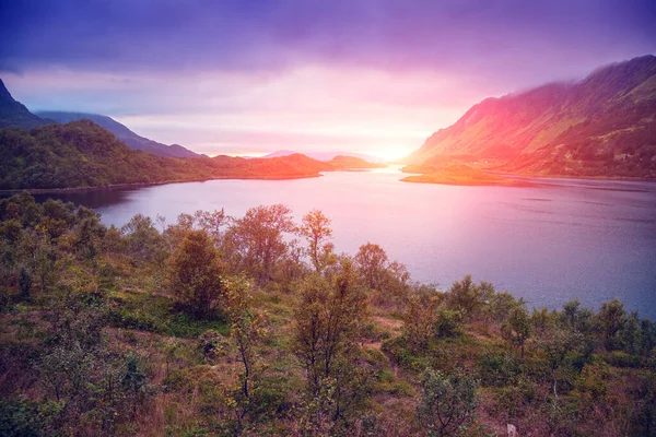 日没時にフィヨルド 夕方には岩の海岸 ノルウェーの美しい自然 絵のような北欧の風景 ロフテン島 ノルウェー ヨーロッパ — ストック写真