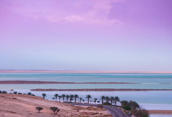 Sabah Ölü Deniz Sahilde Palmiye Ağaçları Güzel Deniz Manzarası Srail — Stok fotoğraf