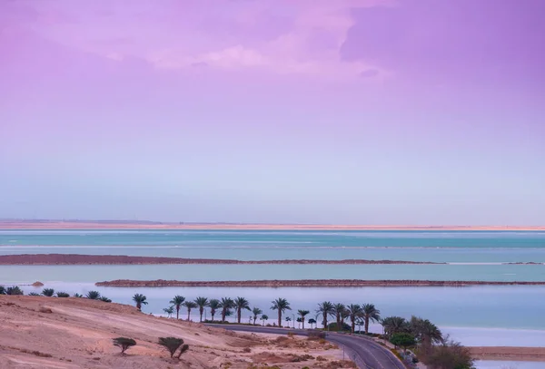 Mar Muerto Por Mañana Palmeras Playa Hermoso Paisaje Naturaleza Marina — Foto de Stock