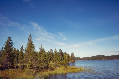 Lakeshore 'da yazın ağaçlar ve mavi gökyüzü. İnari Gölü. Finlandiya 'nın güzel doğası. Avrupa
