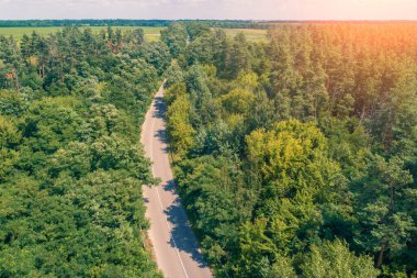 Yazın kırsal alan, hava manzarası. Orman ve otoyol manzarası