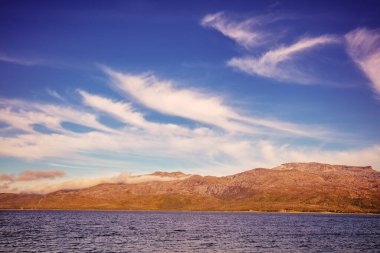 Akşamları kayalık deniz kıyısında. Norveç 'in güzel doğası. Resimli İskandinav manzarası. Lofoten Adaları, Norveç, Avrupa