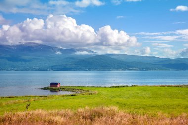 Güneşli bir yaz gününde fiyort manzarası. Güzel bulutlu gökyüzü ile deniz kıyısı. Norveç 'in güzel doğası