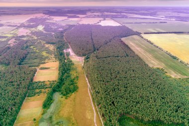Kırsal alan. Hava görüntüsü. İlkbaharın başlarında tarlalar, dere ve çam ormanı manzarası