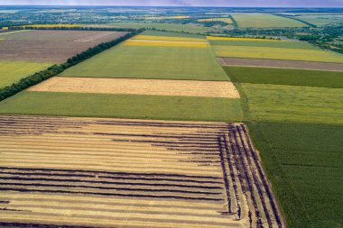 Kırsal alan, hava manzarası. Yazın renkli tarıma elverişli alanların görünümü
