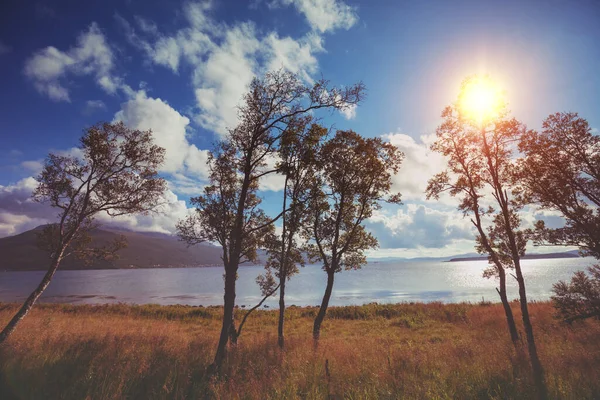 Lake at sunset. Trees by the lake in the evening. The beautiful nature of Norway. Picturesque Scandinavian landscape