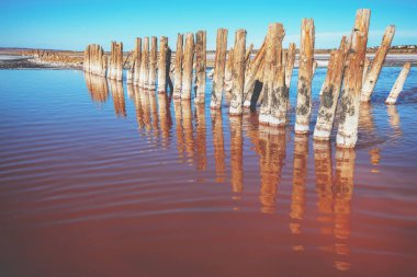 Güneşli bir günde ahşap sandıklı tuzlu pembe haliçler. Doğa manzarası