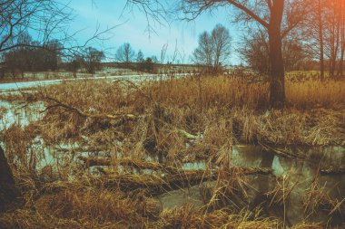 Kırsal alan. Nehir ilkbaharın başında. Güzel doğa. Suda yaprakları olmayan ağaçların yansıması