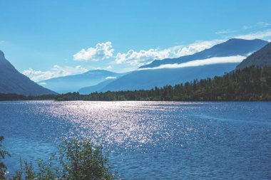 Güneşli bir günde bir dağ gölünün kayalık kıyısı. Norveç 'in güzel doğası. Avrupa