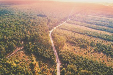 Kırsal alan, hava manzarası. Orman ve otoyol manzarası. Ormanların tahrip edilmesi