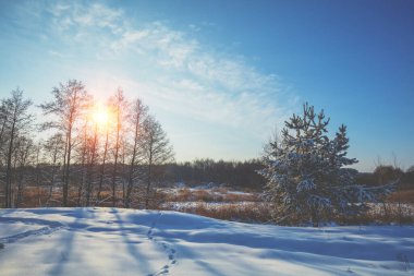 Kışın kırsal alan. Kırsal kesimde. Güneşli bir kış gününde tarla karla kaplıydı.