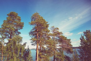 Sonbaharda akşam gökyüzü olan Lakeshore. Finlandiya 'nın güzel doğası