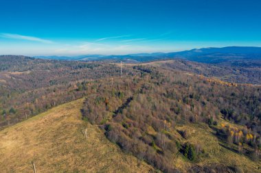 Sonbahar dağ manzarası manzarası. Güzel doğal manzara. Karpatlar. Ukrayna