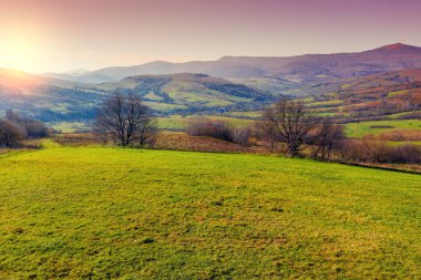 Sonbahar dağ manzarası manzarası. Güzel doğal manzara. Karpatlar. Ukrayna